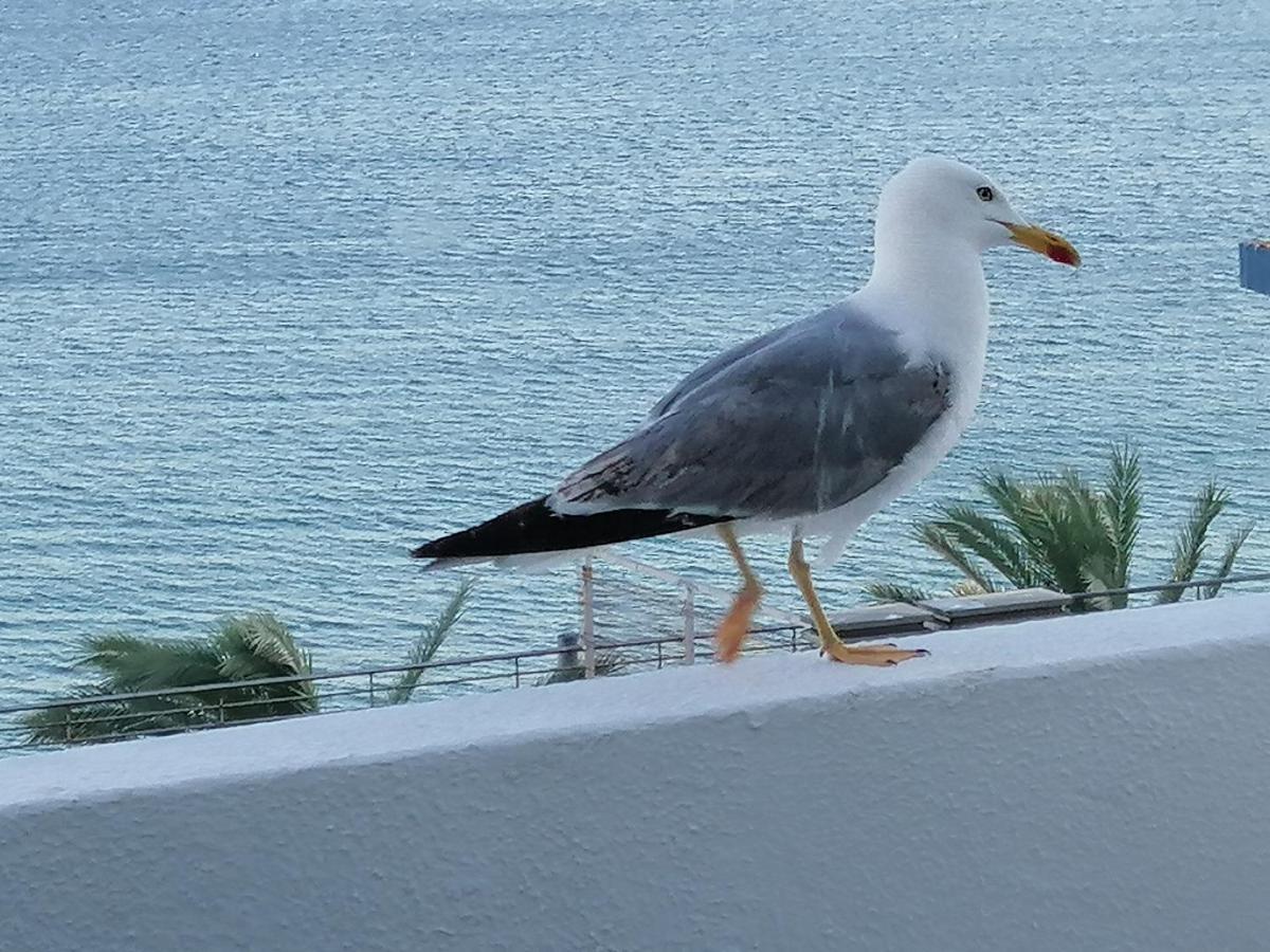 Sol, Mar E Praia Sesimbra Eksteriør billede